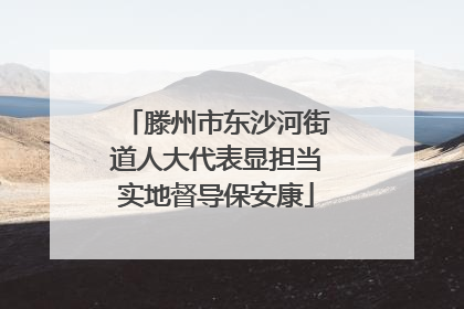 滕州市东沙河街道人大代表显担当实地督导保安康