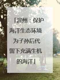 滨州：保护海洋生态环境 为子孙后代留下充满生机的海洋