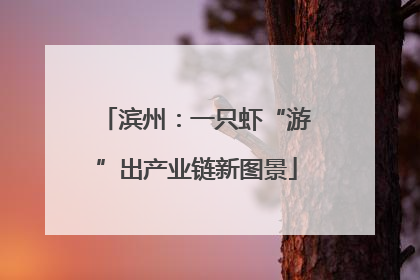 滨州：一只虾“游”出产业链新图景