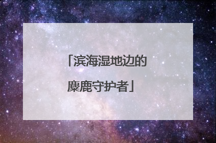 滨海湿地边的麋鹿守护者