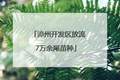 漳州开发区放流7万余尾苗种