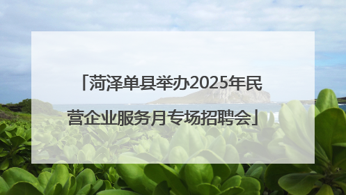 菏泽单县举办2025年民营企业服务月专场招聘会