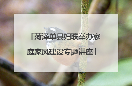 菏泽单县妇联举办家庭家风建设专题讲座