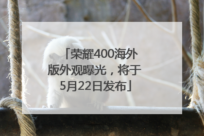 荣耀400海外版外观曝光，将于5月22日发布