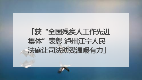 获“全国残疾人工作先进集体”表彰 泸州江宁人民法庭让司法助残温暖有力