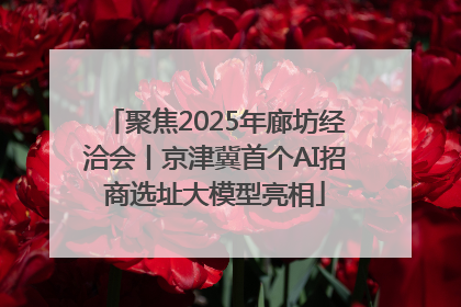 聚焦2025年廊坊经洽会丨京津冀首个AI招商选址大模型亮相