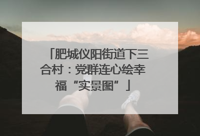肥城仪阳街道下三合村：党群连心绘幸福“实景图”