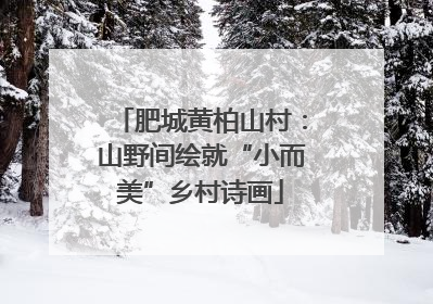 肥城黄柏山村：山野间绘就“小而美”乡村诗画