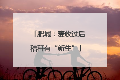 肥城：麦收过后秸秆有“新生”