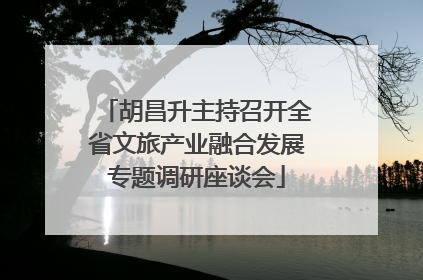 胡昌升主持召开全省文旅产业融合发展专题调研座谈会