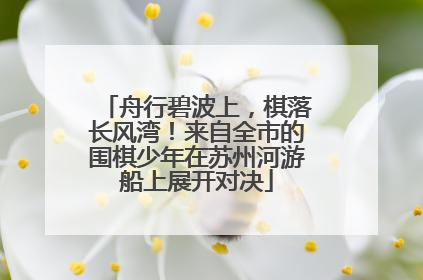 舟行碧波上，棋落长风湾！来自全市的围棋少年在苏州河游船上展开对决