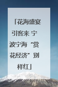 花海盛宴引客来 宁波宁海“赏花经济”别样红