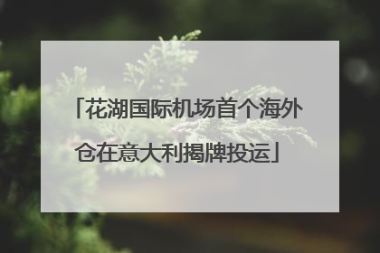 花湖国际机场首个海外仓在意大利揭牌投运