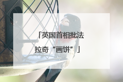 英国首相批法拉奇“画饼”