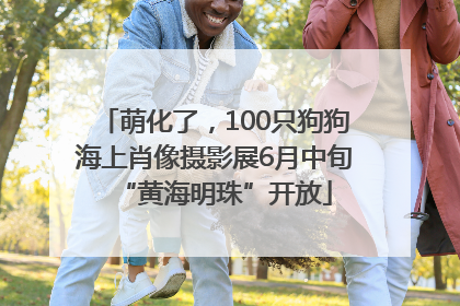 萌化了，100只狗狗海上肖像摄影展6月中旬“黄海明珠”开放