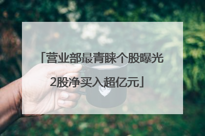 营业部最青睐个股曝光 2股净买入超亿元