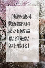 蚂蚁数科携协鑫能科成立蚂蚁鑫能 推进能源智能化