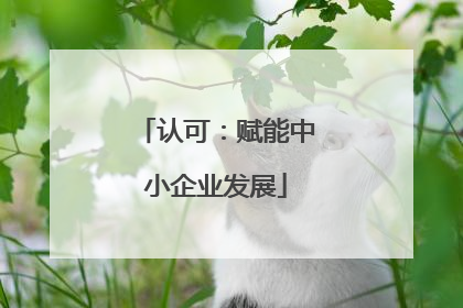 认可：赋能中小企业发展