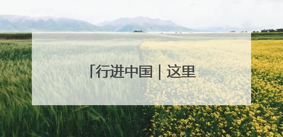 行进中国｜这里，“参”机无限