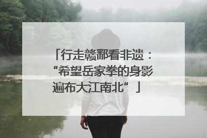 行走赣鄱看非遗：“希望岳家拳的身影遍布大江南北”