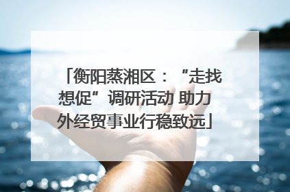 衡阳蒸湘区：“走找想促”调研活动 助力外经贸事业行稳致远