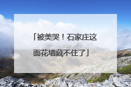 被美哭！石家庄这面花墙藏不住了