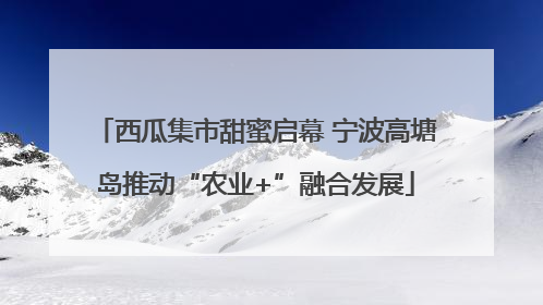 西瓜集市甜蜜启幕 宁波高塘岛推动“农业+”融合发展