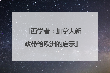 西学者：加拿大新政带给欧洲的启示