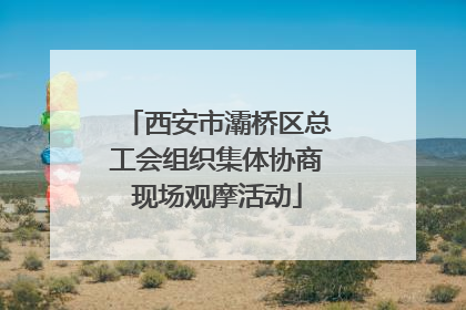 西安市灞桥区总工会组织集体协商现场观摩活动