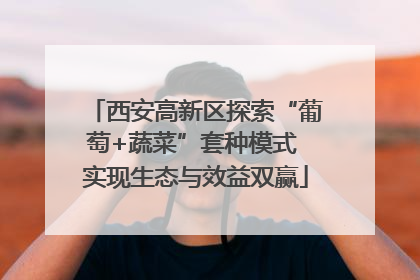 西安高新区探索“葡萄+蔬菜”套种模式 实现生态与效益双赢