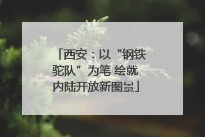 西安：以“钢铁驼队”为笔 绘就内陆开放新图景