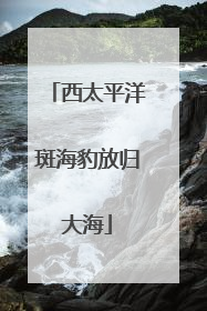 西太平洋斑海豹放归大海