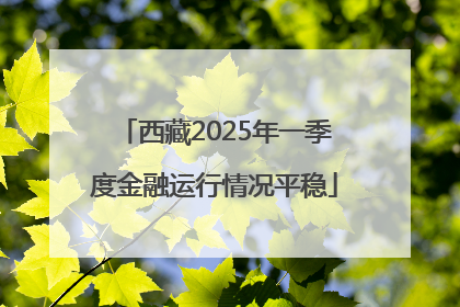 西藏2025年一季度金融运行情况平稳