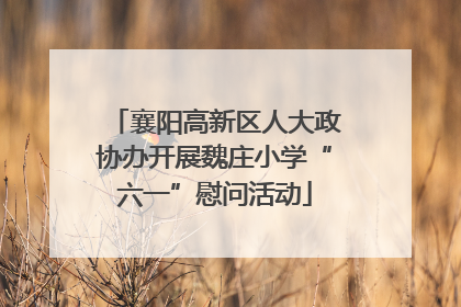 襄阳高新区人大政协办开展魏庄小学“六一”慰问活动