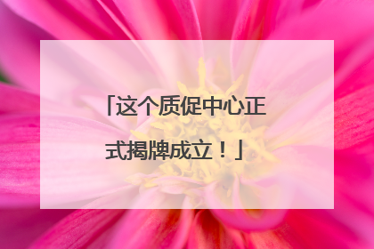 这个质促中心正式揭牌成立！