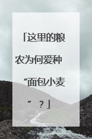 这里的粮农为何爱种“面包小麦”？