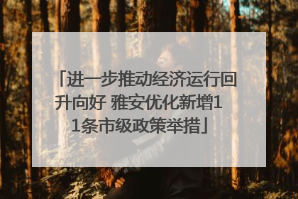 进一步推动经济运行回升向好 雅安优化新增11条市级政策举措