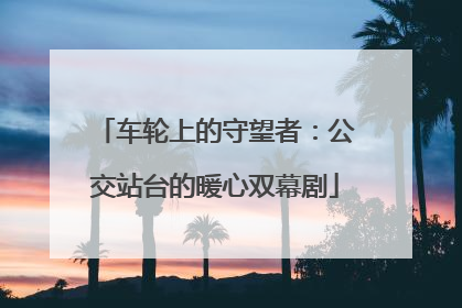 车轮上的守望者：公交站台的暖心双幕剧