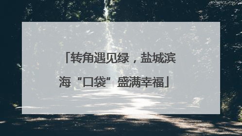 转角遇见绿，盐城滨海“口袋”盛满幸福
