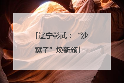 辽宁彰武：“沙窝子”焕新颜