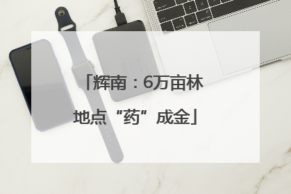 辉南：6万亩林地点“药”成金