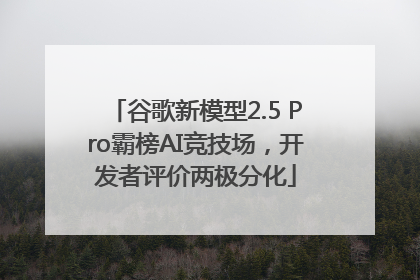 谷歌新模型2.5 Pro霸榜AI竞技场，开发者评价两极分化