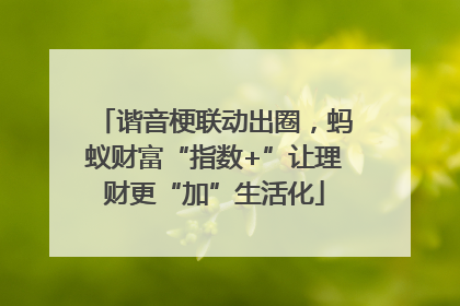 谐音梗联动出圈，蚂蚁财富“指数+”让理财更“加”生活化