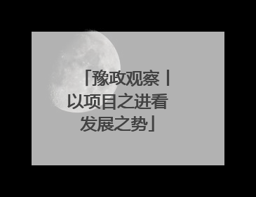 豫政观察丨以项目之进看发展之势