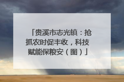 贵溪市志光镇：抢抓农时促丰收，科技赋能保粮安（图）