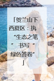 贺兰山下西夏区：执“生态之笔” 书写“绿色答卷”