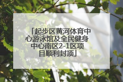 起步区黄河体育中心游泳馆及全民健身中心南区2-1区项目顺利封顶