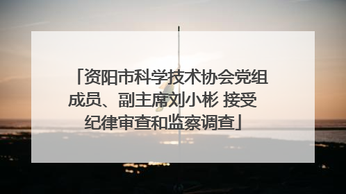 资阳市科学技术协会党组成员、副主席刘小彬 接受纪律审查和监察调查