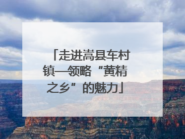 走进嵩县车村镇—领略“黄精之乡”的魅力