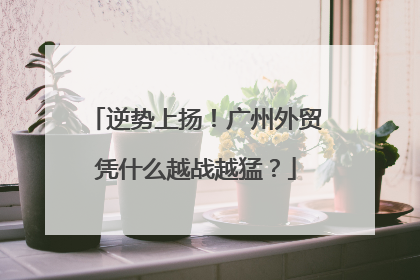 逆势上扬！广州外贸凭什么越战越猛？